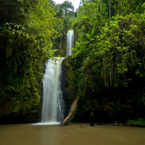 Kimakia waterfall