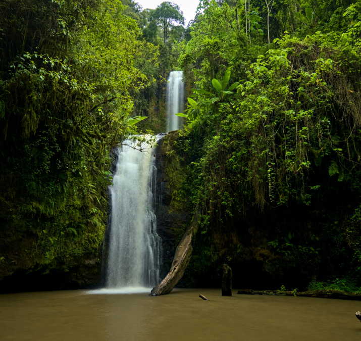 Kimakia waterfall