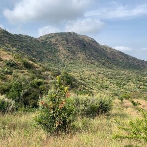 Empaash Olorenito hill